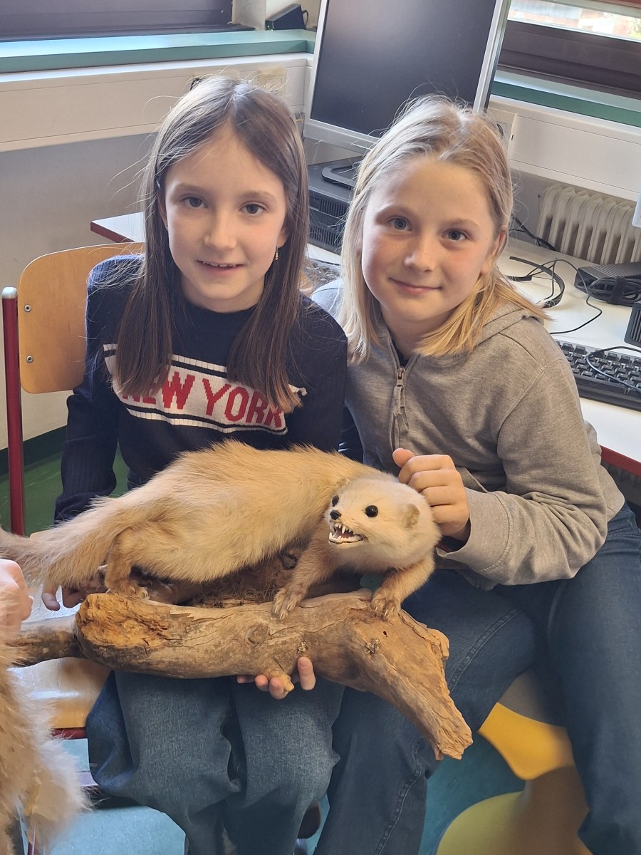 Workshop Schule und Jagd der 3. Klasse