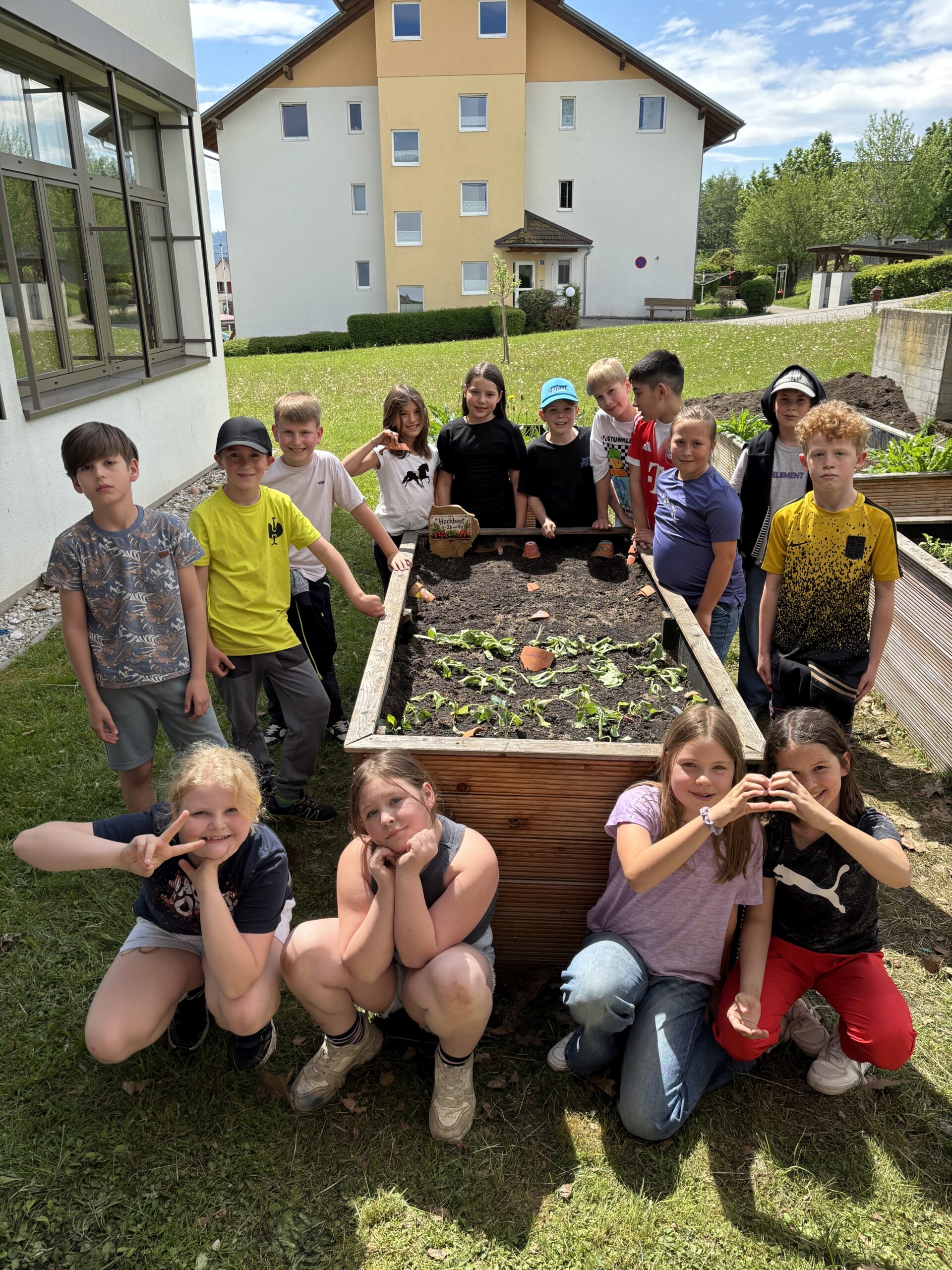 Neues Leben im Schulgarten
